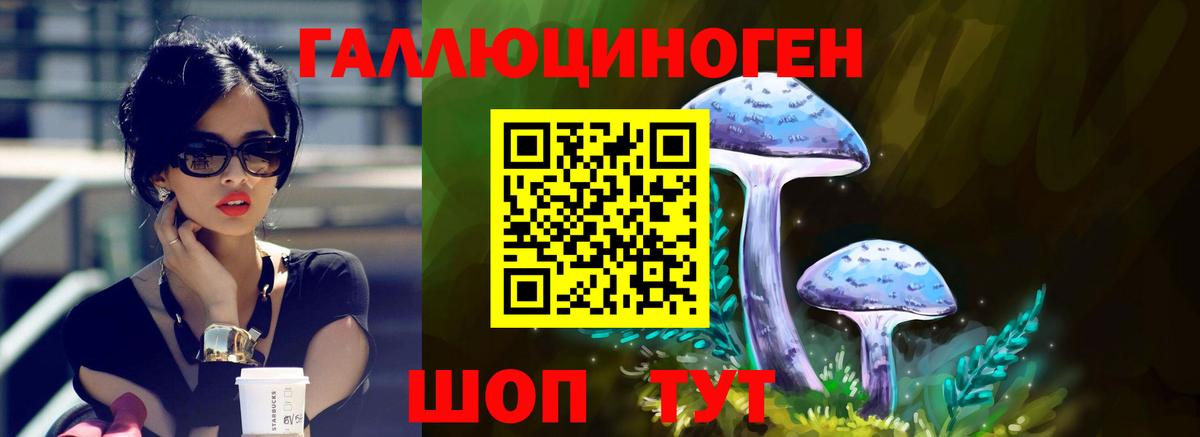 Прокопьевск  Псилоцибиновые грибы Psilocybe  Вход с VPN 